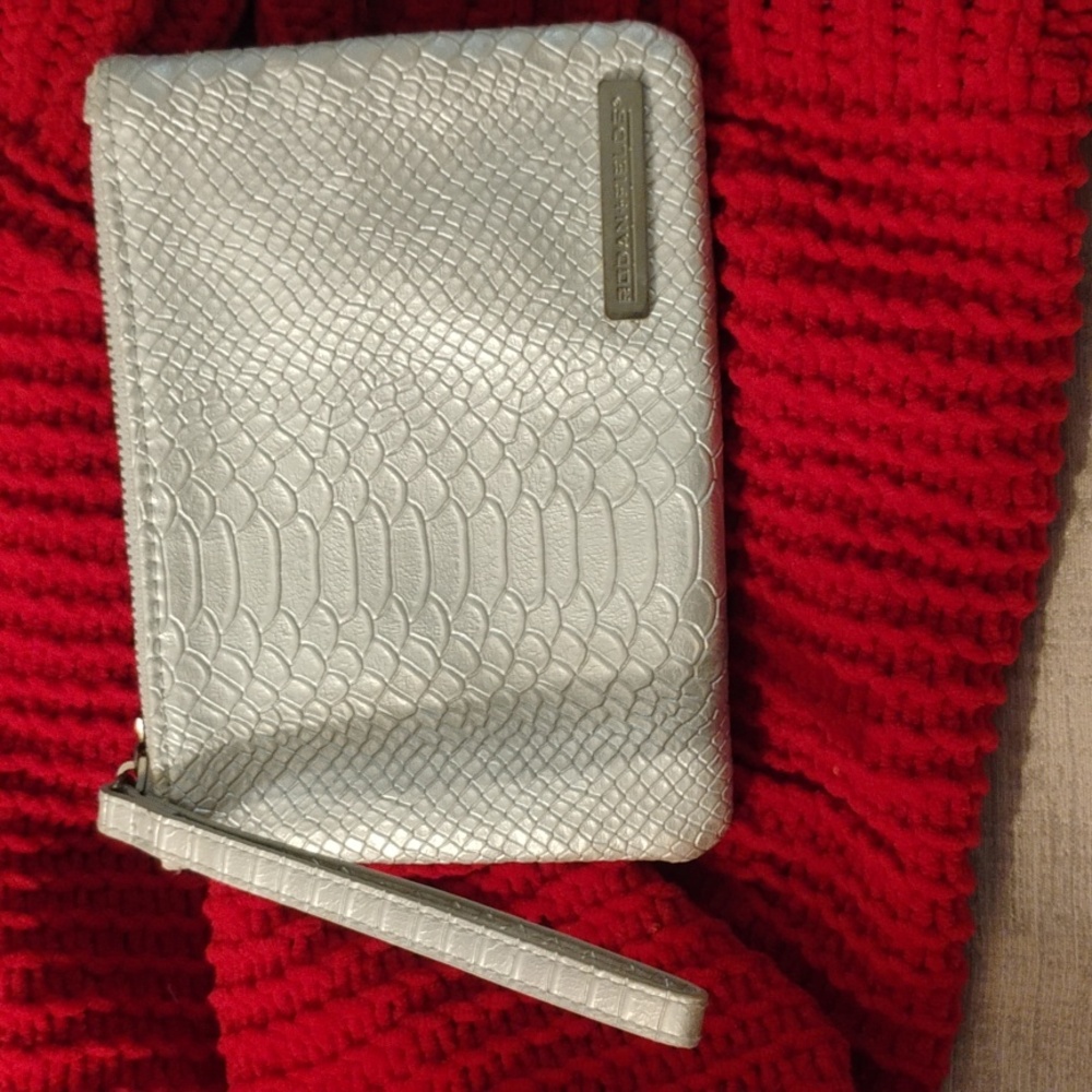 Rodan + Fields Silver Cosmetic‎ Bag